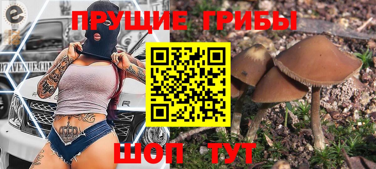 Псилоцибиновые грибы GOLDEN TEACHER Малгобек