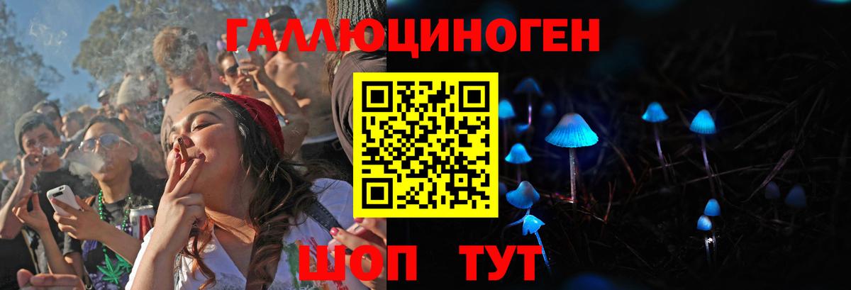 Малгобек  Псилоцибиновые грибы GOLDEN TEACHER  купить наркотики цена  Вход с VPN 