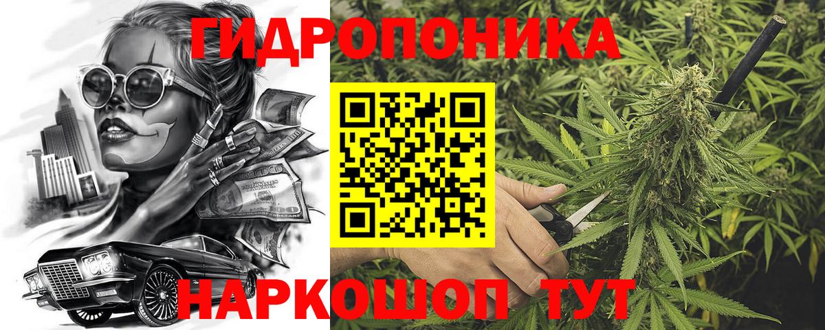 Канабис ГИДРОПОН Малгобек